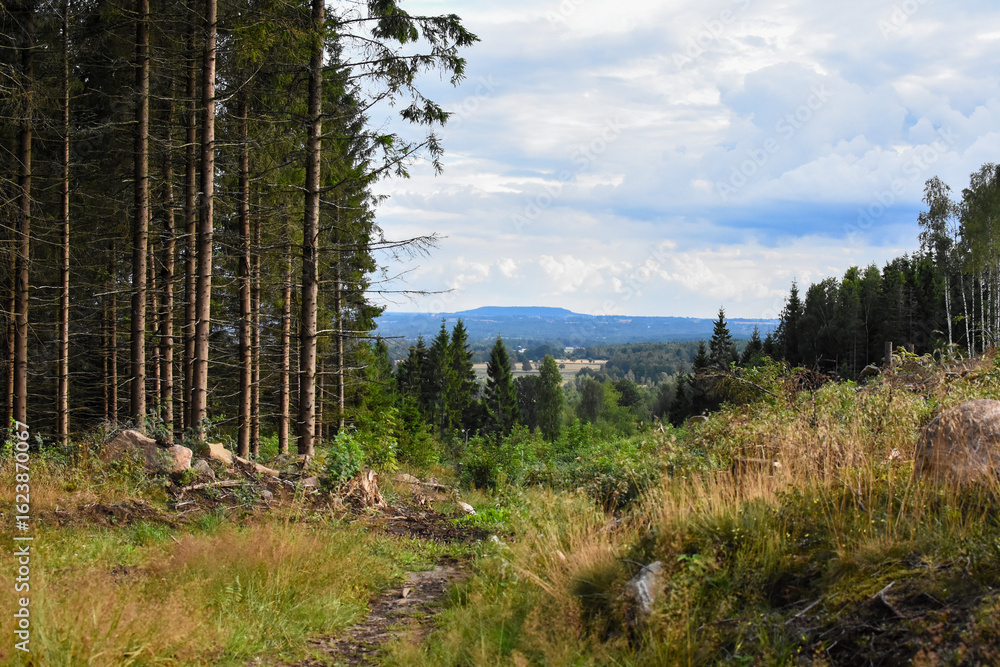 Swedish nature with mountain in the background Swedish nature with mountain in the background