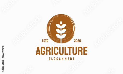 Luxury Grain wheat logo concept, Agriculture wheat Logo Template vector icon with abstract brush circle