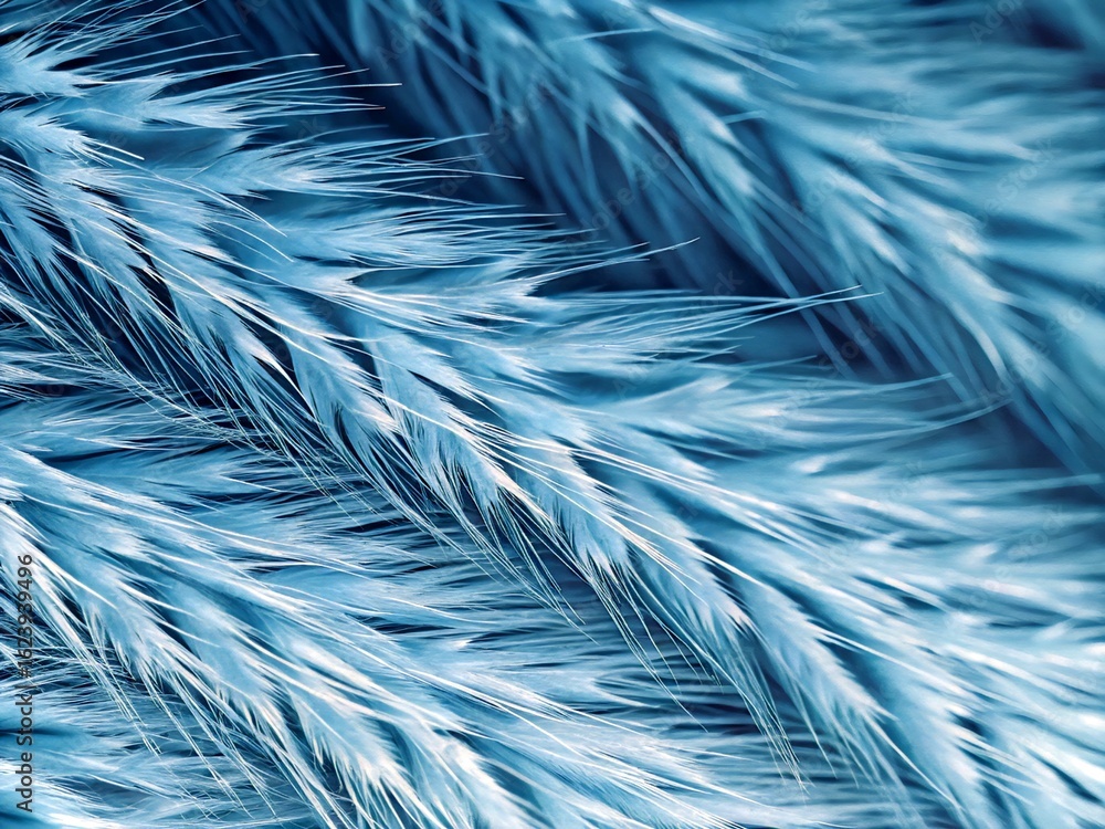 Obraz premium abstract macro background close-up