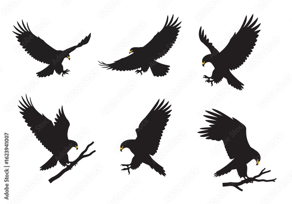 Obraz premium Six Black Eagle Silhouettes in Various Flight and Perched Poses.