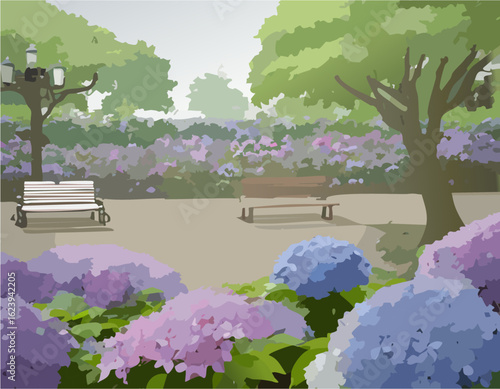 アジサイと風景