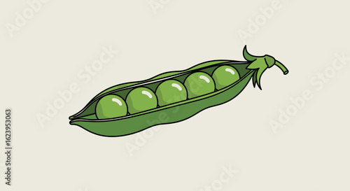 Green Pea Pod with Fresh Peas Illustration on Light Background