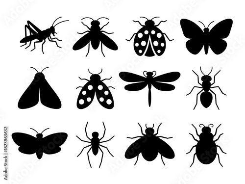 Collection of twelve insect silhouettes isolated on white background