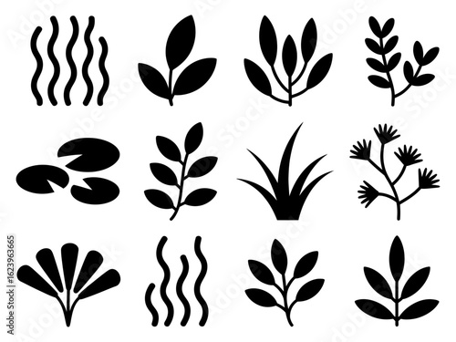 Collection of aquatic plant silhouettes isolated on white background
