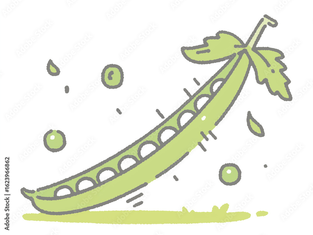 Fototapeta premium はじける緑の宝石 - 新鮮なエンドウ豆の手描きイラスト