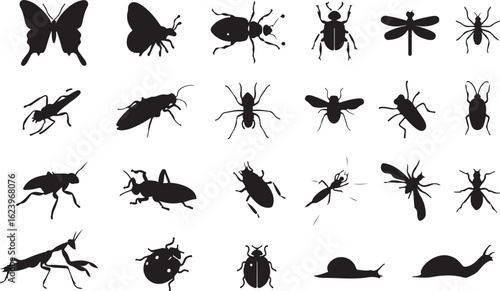 Butterfly beetle dragonfly ant grasshopper ladybug praying mantis snail vector