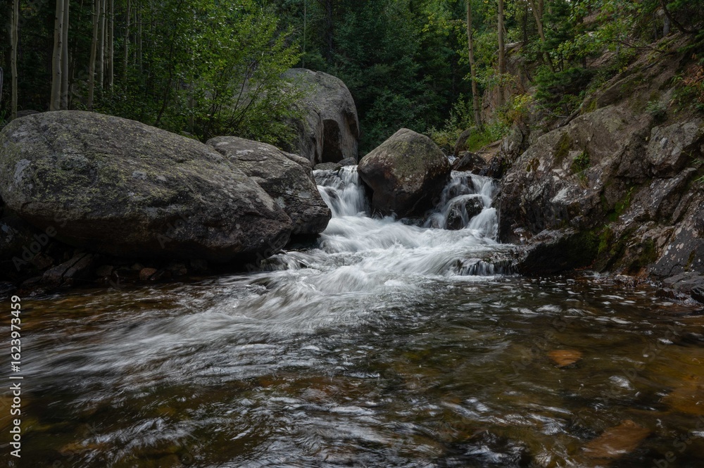 Fototapeta premium Wyoming Wanderers: A National Park adventure