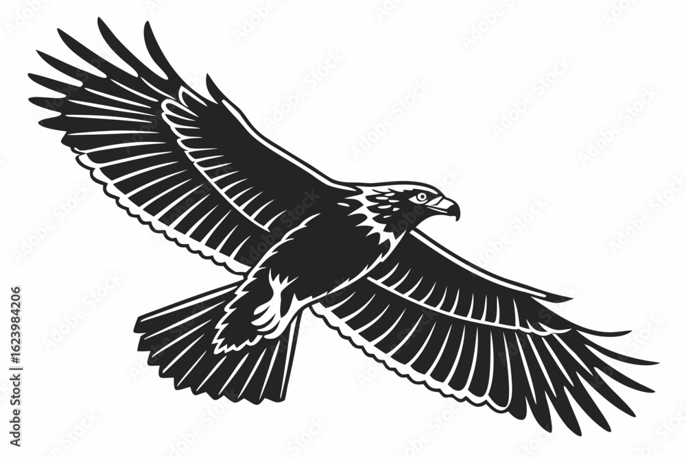 Obraz premium Hawk bird sihouette black vector