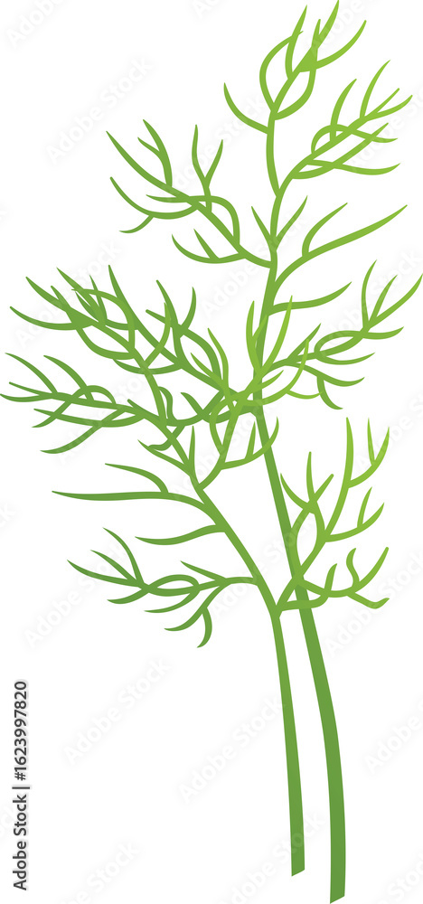 Naklejka premium vector illustration of rosemary leaves