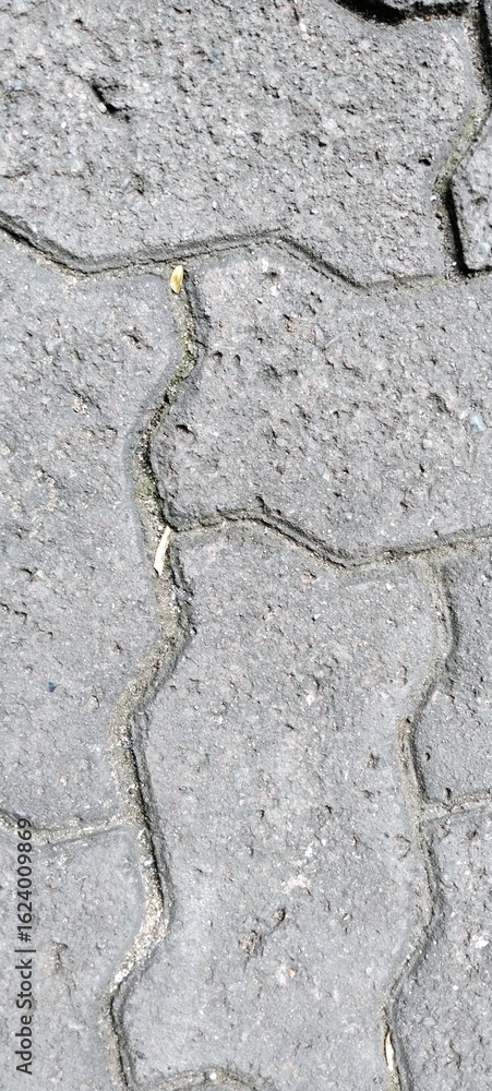 Obraz premium dry cracked ground