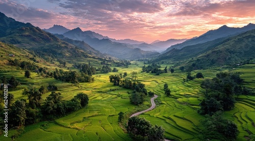 Wallpaper Mural Serene sunset over verdant rice terraces and winding road in mountainous valley Torontodigital.ca