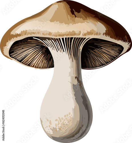 A detailed illustration of a single mushroom, with a focus on its intricate structure and colors