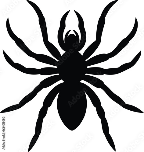 Realistic tarantula spider silhouette isolated on transparent background
