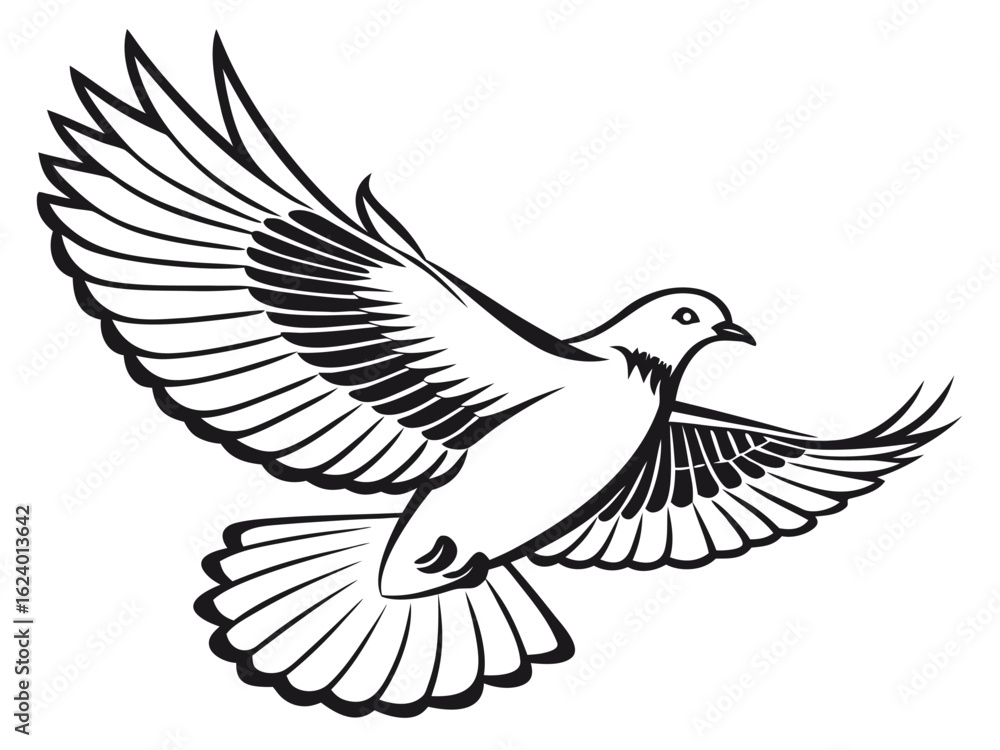 Obraz premium dove on white background