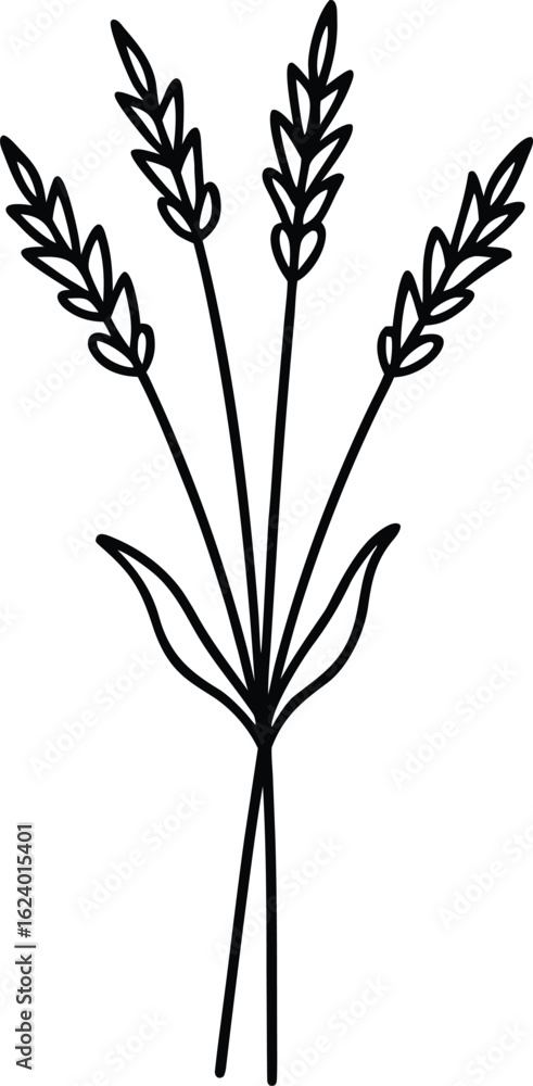 Fototapeta premium set of black silhouettes of leaves