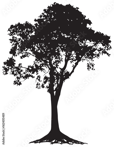 Silhouette of kapok tree element