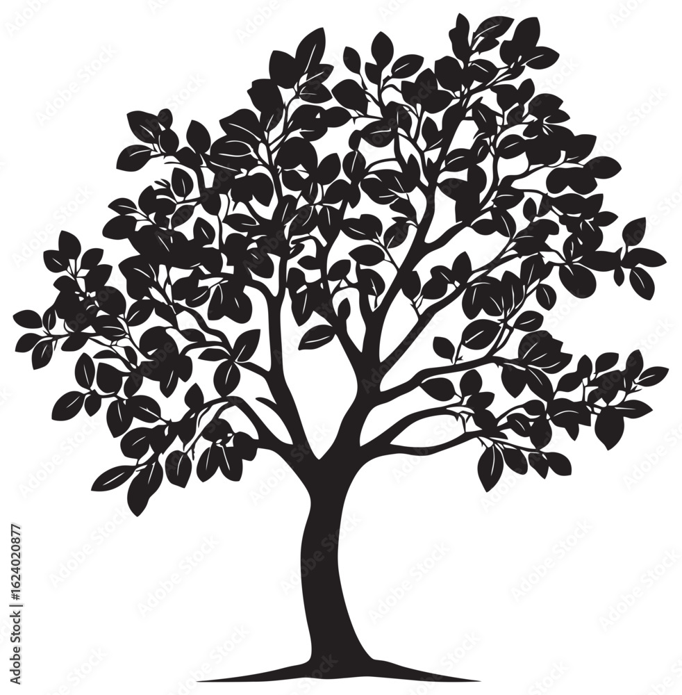 Obraz premium Amla tree silhouette drawing