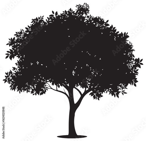Amla tree silhouette drawing