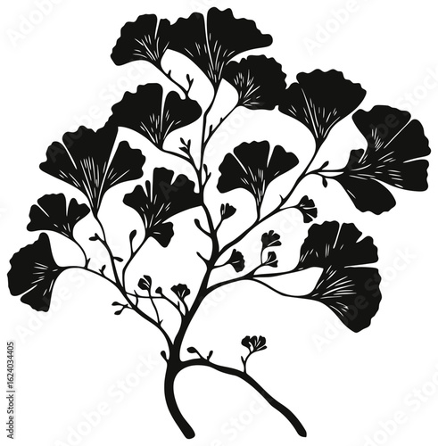Gingkgo bilabo tree silhouette drawing