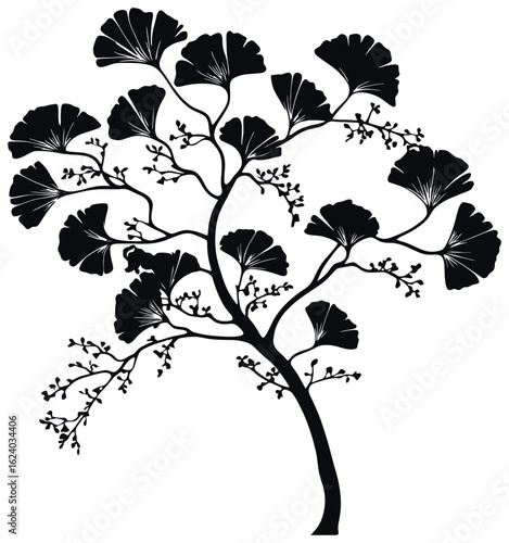 Gingkgo bilabo tree silhouette drawing