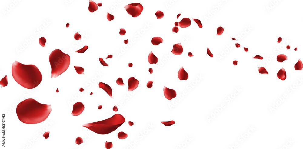Romantic Red Rose Petals Falling Love Valentine Wedding Celebration Background Elegant Beauty