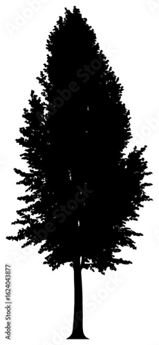 Silhouette of poplar tree element