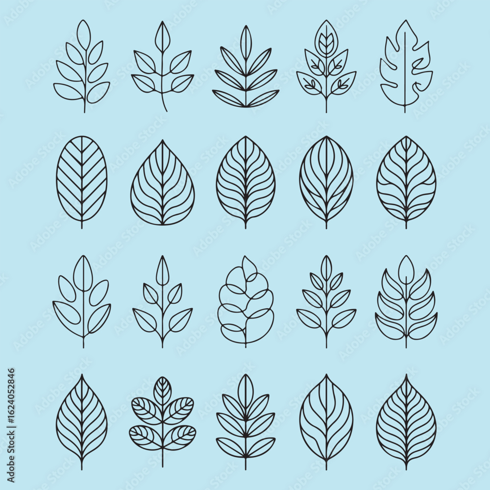 Fototapeta premium Various leaf designs outlined in black on a light blue background