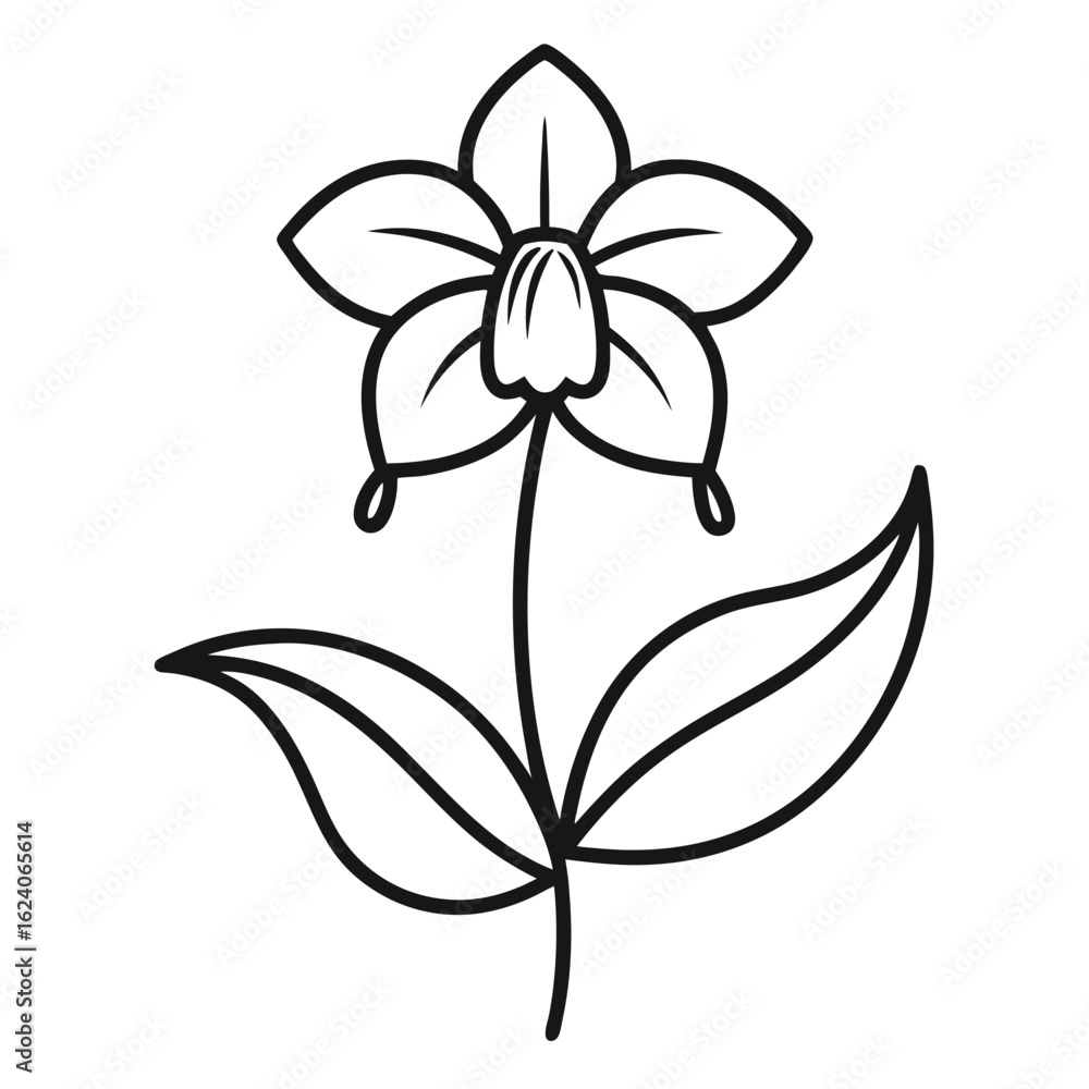 Obraz premium black and white flower