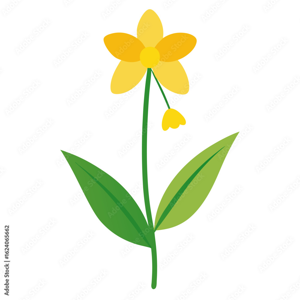 Obraz premium yellow flower isolated on white background