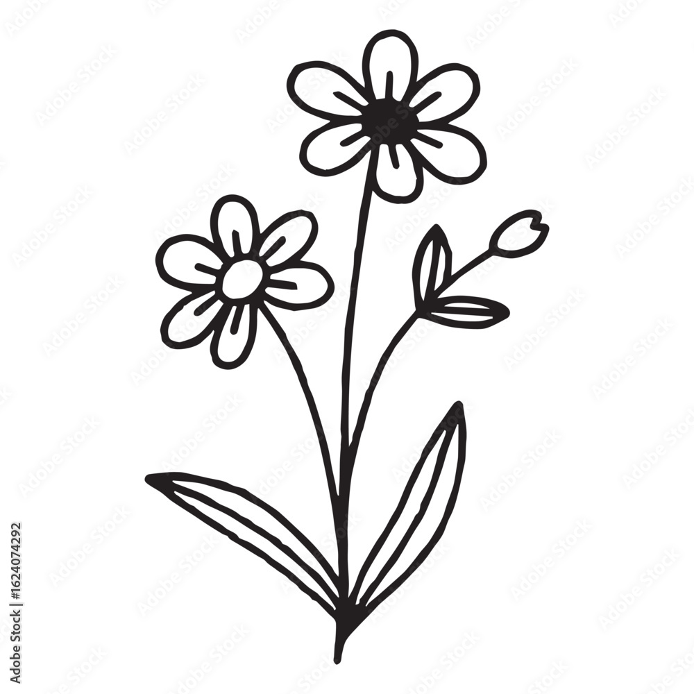 Obraz premium Hand drawn flowers set Silhouettes White Background..