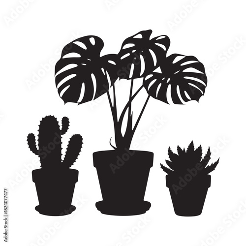 Potted houseplants indoor flowers foliage plants cactus succulents flowerpots Silhouette White Background. 