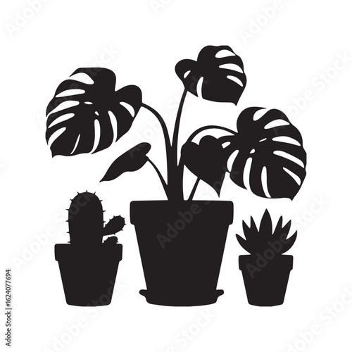 Potted houseplants indoor flowers foliage plants cactus succulents flowerpots Silhouette White Background. 