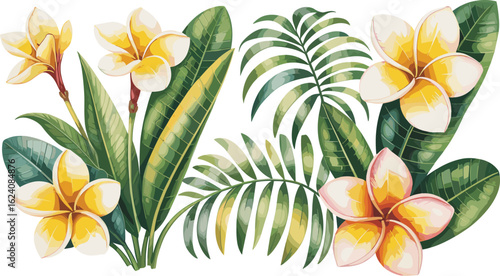 Tropical plumeria flower and leaf clipart set, botanical watercolor illustrations with yellow frangipani blooms and lush greenery.