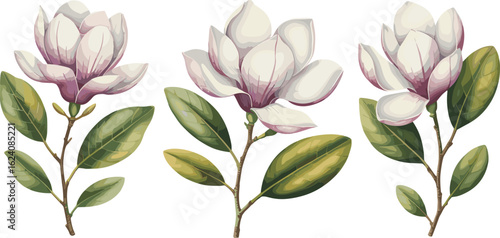 Tropical plumeria flower and leaf clipart set, botanical watercolor illustrations with yellow frangipani blooms and lush greenery.