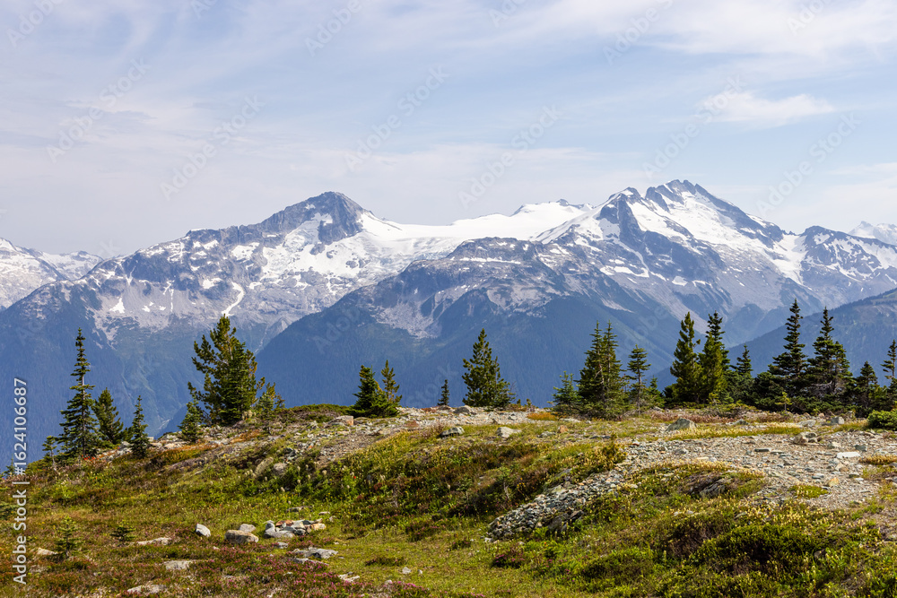 Fototapeta premium Snow-Capped Mountains and Green Valley in Whistler, BC, Canada