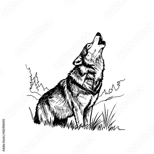 A black and white sketch of a wolf howling at the sky, set against a simple landscape background.