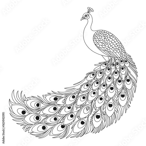 ‎A line art Peacock illustration of a coloring page