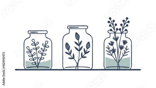 Botanical jars with plants vector illustration for home decor and nature themed designs and decorations