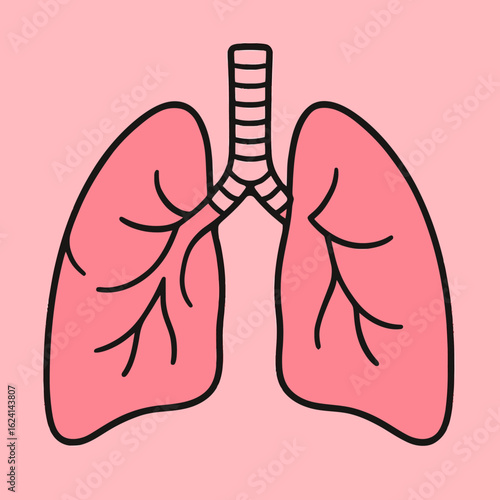 Illustration of human lungs, a vital organ for respiration, depicted in a simple and clean cartoon style, showcasing the anatomy and structure of the pulmonary system on a pink background