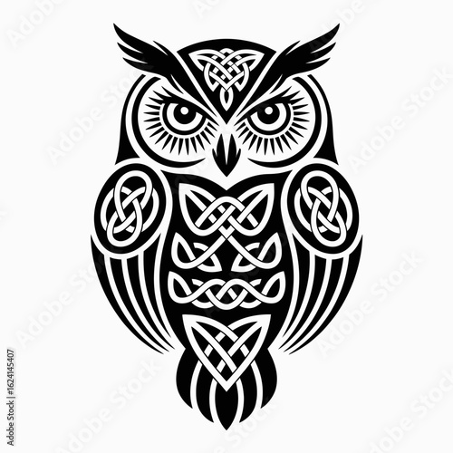 Intricate Celtic Knotwork Design Featuring a Mystical Owl Symbol