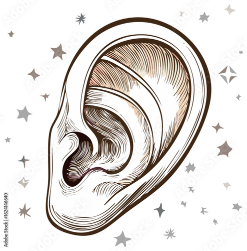 Detailed Line Art Illustration of a Human Ear Surrounded by Star Shapes