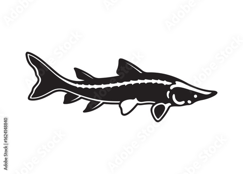 Lake Sturgeon Silhouette with Distinctive Fins, Barbels, and Elongated Body Profile.
