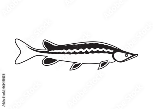 Lake Sturgeon Silhouette with Distinctive Fins, Barbels, and Elongated Body Profile.