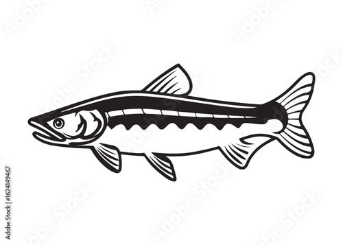Black Sturgeon Silhouette with Barbels and Spiny Dorsal Fins in Side View.