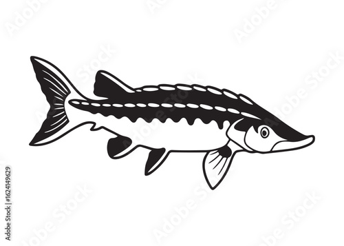 Black Sturgeon Silhouette with Barbels and Spiny Dorsal Fins in Side View.