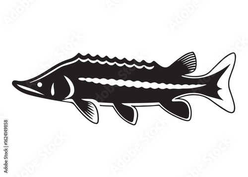 Silhouette of a Lake Sturgeon with Long Body and Prominent Barbels in Motion.