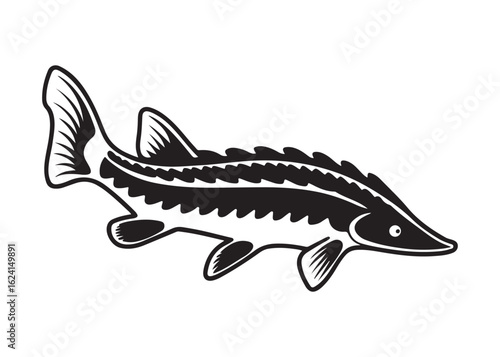 Silhouette of a Lake Sturgeon with Long Body and Prominent Barbels in Motion.