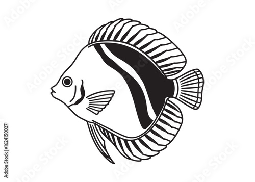 Discus Fish Silhouette with Rounded Body and Flowing Fins in Black Vector Style.
