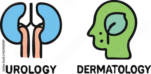 Urology and Dermatology Medical Specialization Icons Set.