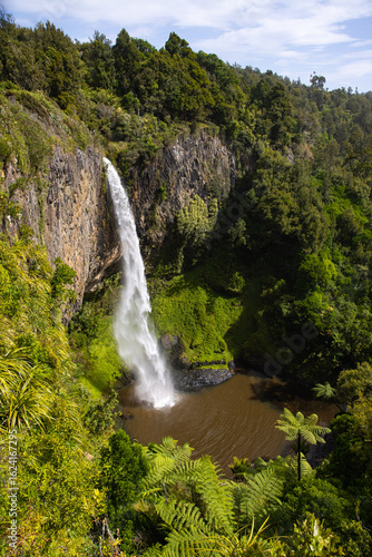 Majestic Bridal Veil Falls cascading in narrow canyon surrounded by lush native forest and dense jungle vegetation, near Raglan, Waikato region, North Island, New Zealand